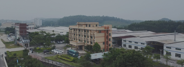 Иновације у последње две деценије&nbsp;